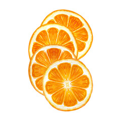 Orange fruit, four slices watercolor composition isolated on white background. High quality hand drawn art for food design, packages, restaurant menu, natural organic food, label, logo and decor