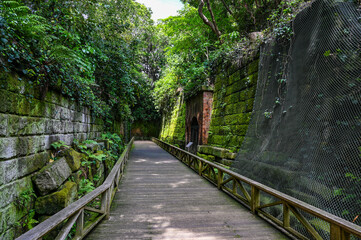 東京湾にある無人島の猿島