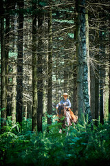 Cowgirl riding a mule in the forest