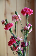 Bouguet of carnation flowers. Pink flowers of carnation in vase on wooden background. Carnations for Victory Day in 9 may, womans day or mothers day as greeting card or carnation pink background.