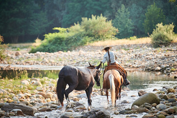 Cowgirl crossing the river riding a horse and leading a mule