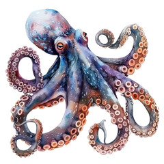 Obraz premium Octopus watercolor isolate illustration png.