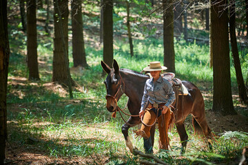 Cowgirl riding a mule in the forest