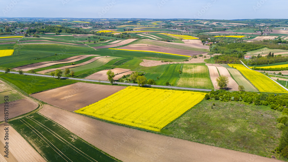 Poster Colorful agriculture farmland and crop fields. Aerial drone view