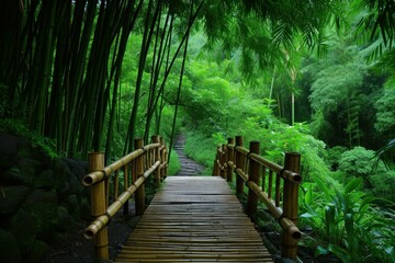 Tranquil and serene footbridge pathway through misty and lush bamboo forest landscape surrounded by greenery and natural foliage