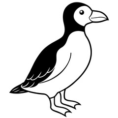 black and white duck illustration
