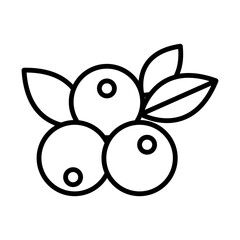 berries line icon
