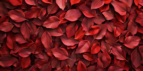 Beautiful Autumn Leaves ,A Natural Fall Pattern