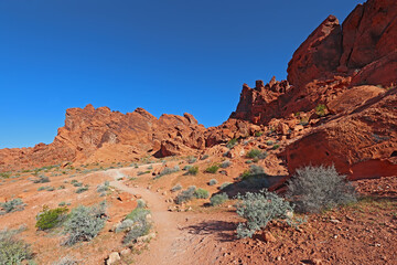 Fototapeta premium Red rock formations at Valley of Fire State Park, Nevada
