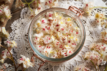 A glass jar filled with horse chestnut blossoms and alcohol - preparation of herbal tincture