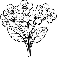 Obraz premium Primrose flower outline illustration coloring book page design, Primrose flower black and white line art drawing coloring book pages for children and adults 