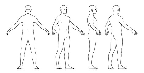 Vector Illustration of a Man’s Body From Different Perspectives. Outline Style