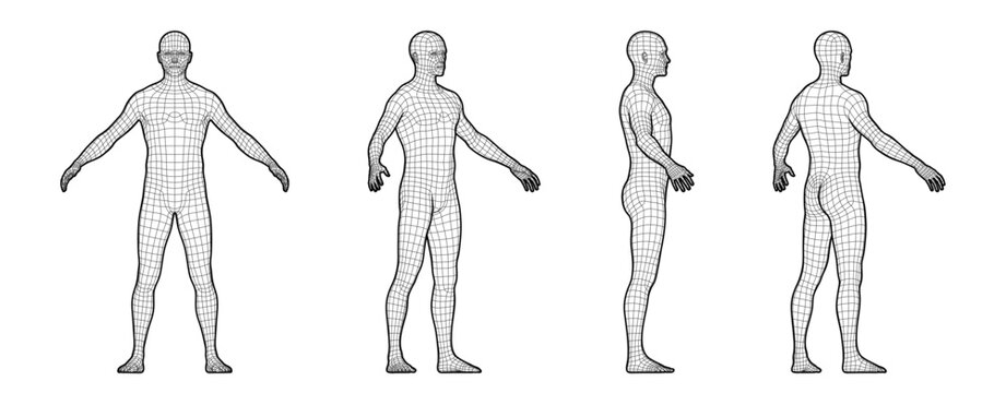 Vector Illustration of a Man’s Body From Different Perspectives. 3D Mesh Style