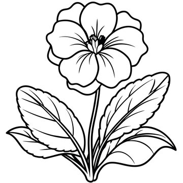 recommend clip art: Primrose flower outline illustration coloring book page design, Primrose flower black and white line art drawing coloring book pages for children and adults
                    
