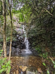 waterfall in the forest near nonpartial road