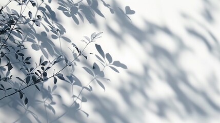 Shadows from leaves on white background in the style of abstract nature.