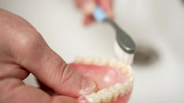 Close-up shot of cleaning dentures with toothbrush. Hand washing prosthesis teeth with brush and toothpaste