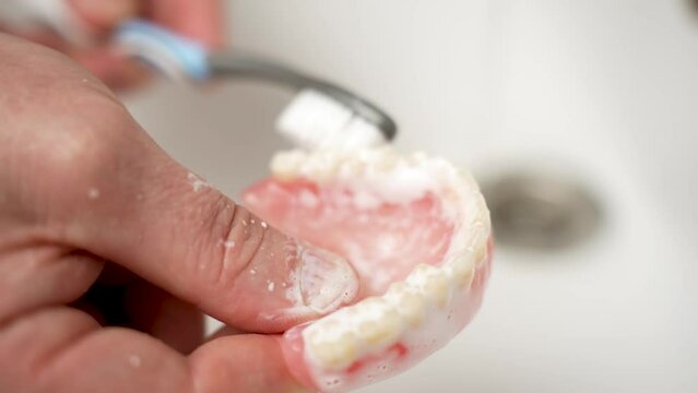 Close-up shot of cleaning dentures with toothbrush. Hand washing prosthesis teeth with brush and toothpaste