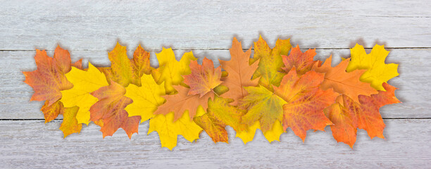 Naklejka na ściany i meble Autumn maple leaf on a gray wooden background. Fall season foliage. View from above. Banner.