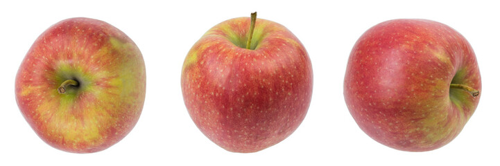 Set of fresh whole apple isolated on white background. From top view. panorama, banner.