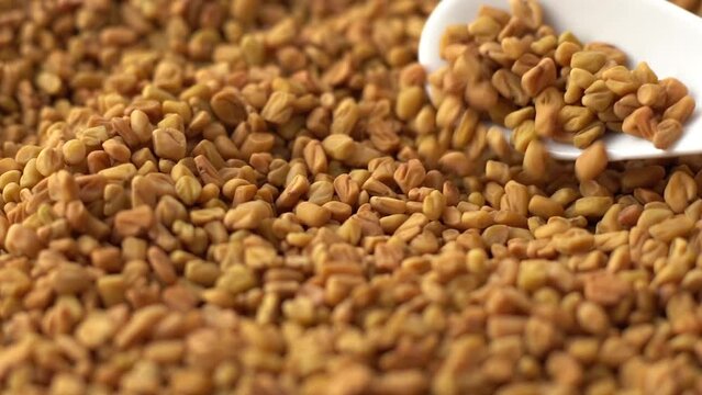 Macro video of fenugreek seeds kept on rotating disk. Close up video of methi seeds.
