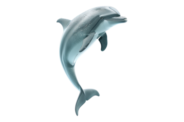 Cute dolphin jumping isolated on transparent background