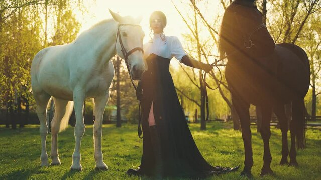 fantasy woman queen with horses. Happy adult girl Beauty lady holding two horse black and white animal. love care pet. Summer nature sun rays light flare. vintage long dress costume old style art 4k