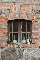 a window with a row of four potted cactus on the window sill