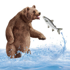 ours, brun, animal, fourrure, nature, sauvage, faune, grizzli, mammifère, alaska, saumon, chasser, capturer, eau, vague, 