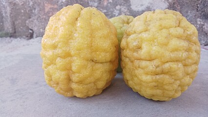 yellow kaffir lime