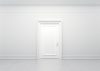 Modern white door. White wall with free space. Minimalist bright interior.
