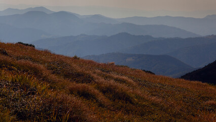 Beautiful sunrise with clouds below in Carpathian  mountains, Chornogora