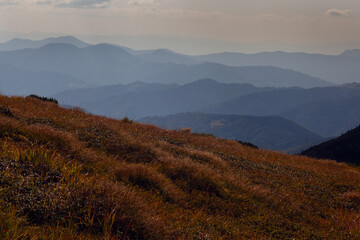 Beautiful sunrise with clouds below in Carpathian  mountains, Chornogora