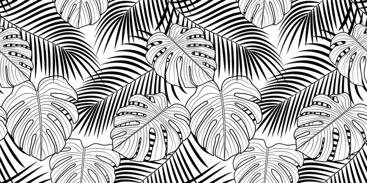 Vector pattern, background on a transparent layer - tropical forest. Palm leaves and monstera leaves.