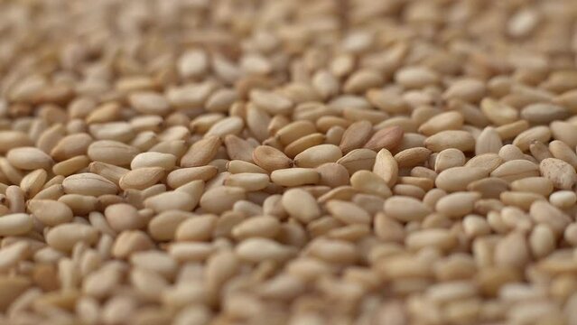 Macro video of sesame seeds. Bunch of sesame seeds placed on rotating disk.