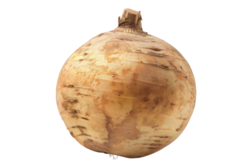 Rutabaga isolated on transparent background
