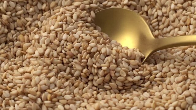 Macro video of sesame seeds. Bunch of sesame seeds placed on rotating disk.
