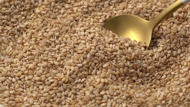 Macro video of sesame seeds. Bunch of sesame seeds placed on rotating disk.