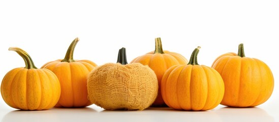 A close up side view image of yellow orange pumpkins wrapped in burlap set against a white background This Halloween themed picture highlights the autumn pumpkin harvest representing a farm product T - Powered by Adobe