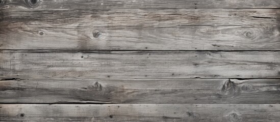 Fototapeta premium An abandoned and grungy gray wood texture background with dry cracked and aged wood planks providing a copy space image