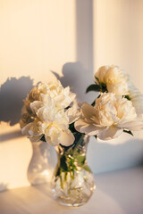 White peony flowers in glass vase in soft sunset light. Delicate beauty of white peonies bathed in the golden sunset casting soft shadows. A serene composition spring blooming. Trendy sun light.