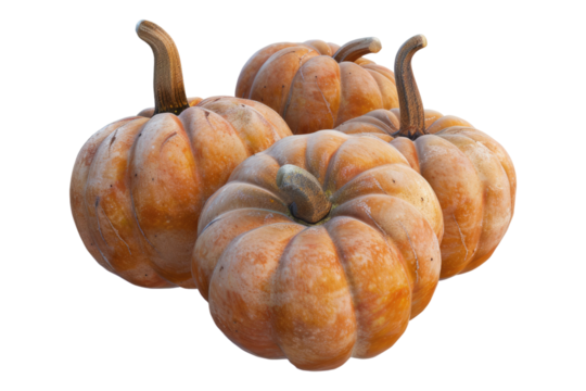 Whole pumpkins isolated on transparent background
