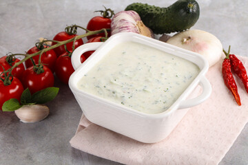 Traditional delicious appetizer; greek tzatziki (Turkish name; cacik)