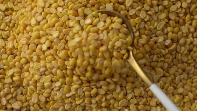 Macro video of moong dal. Close up of yellow lentis kept on rotating disk. 360 degree rotation of moong dals.
