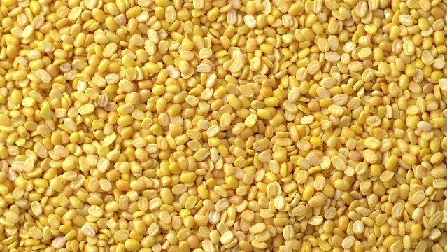 Macro video of moong dal. Close up of yellow lentis kept on rotating disk. 360 degree rotation of moong dals.