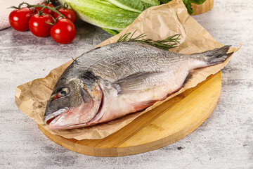 Raw dorada fish served rosemary