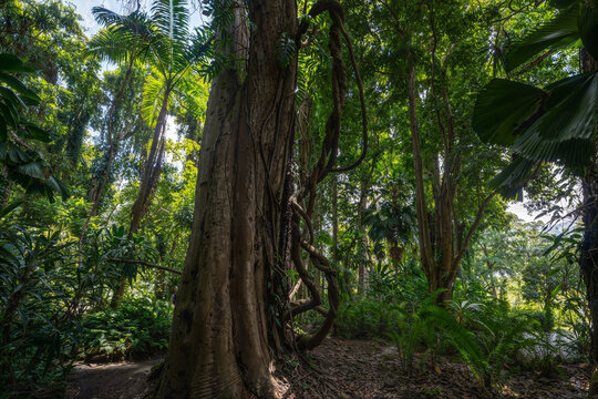 Kandy Climate