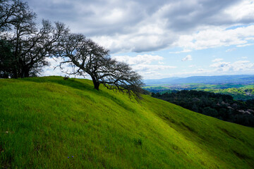 Obraz premium Grass Covered Ridge Lines and Hills