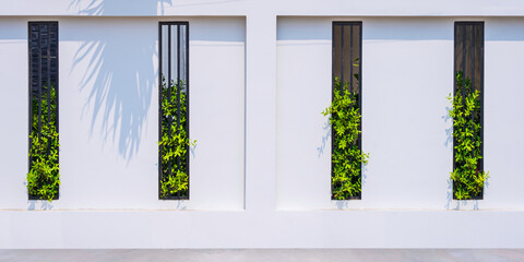 White concrete fence wall background with metal grate ventilation and green bush in modern minimal...