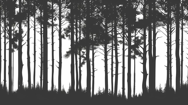 Winter forest fir trees spruce silhouette vector image,Pine forest silhouette wood tree background .